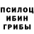 Галлюциногенные грибы Psilocybine cubensis tEOt