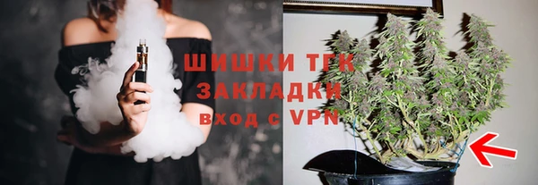 соль ск Арсеньев
