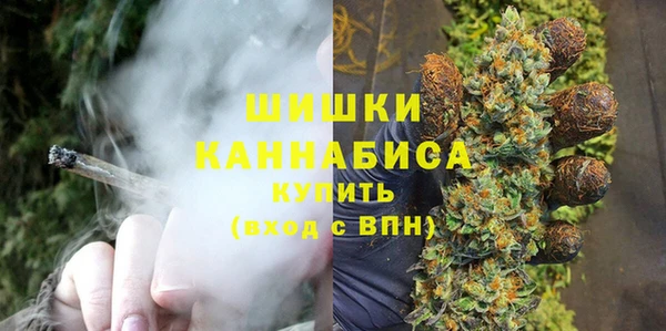 соль ск Арсеньев