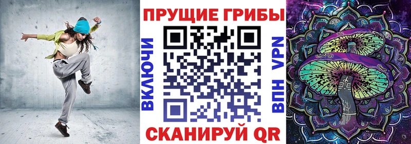 Галлюциногенные грибы Psilocybine cubensis закладка Суздаль