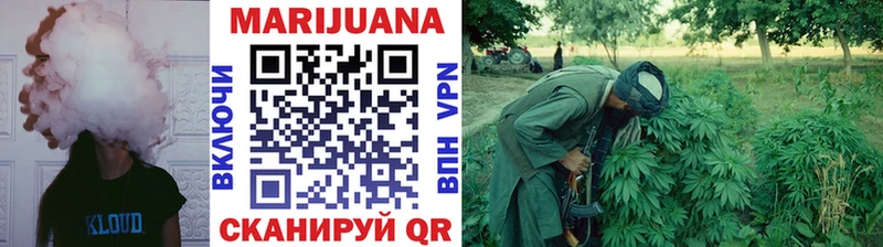 где можно купить   Суздаль  Марихуана сатива 